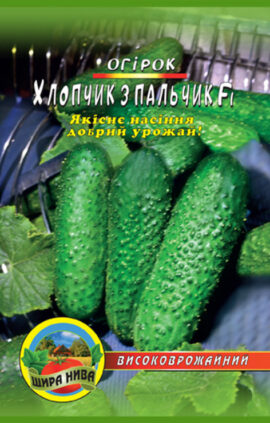 Огірок Хлопчик з пальчик пакет 30 насінин