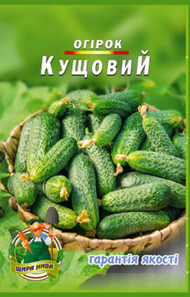 Огірок Кущовий пакет 30 насінин