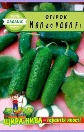 Огірок Малий та молодецький F1 пакет 20 насінин