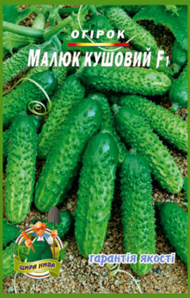 Огірок Малюк кущовий пакет 30 насінин