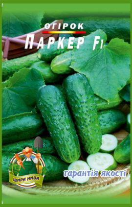 Огірок Паркер пакет 30 насінин