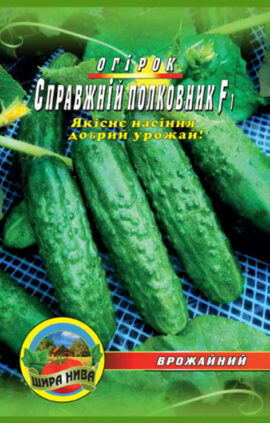 Огірок Справжній полковник F1 пакет 30 насінин