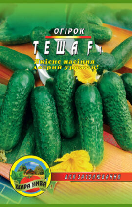 Огірок Теща пакет 30 насінин
