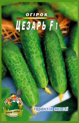 Огірок Цезар F1 пакет 30 насінин