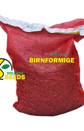 Цибуля Бірнформіг сітка 10 кг розмір 8/21