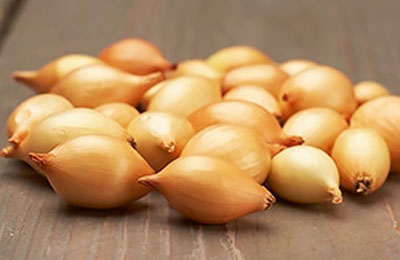 Озима цибуля сіянка