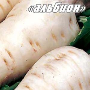 Пастернак круглий Альбіон пакет 5 грам