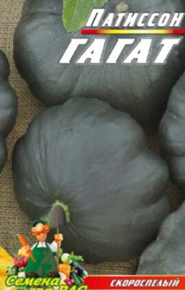 Патіссон гагат пакет 40 насінин