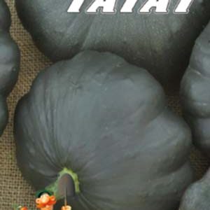 Патіссон гагат пакет 40 насінин