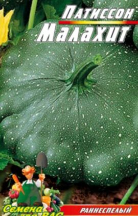 Патіссон малахіт пакет 40 насінин.