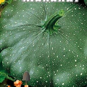 Патіссон малахіт пакет 40 насінин.