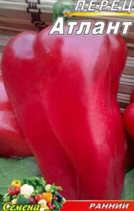 Перець Атлант пакет 30 насінин