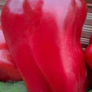 Перець Атлант пакет 30 насінин