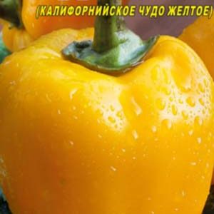 Перець Чудо йоло пакет 30 насінин