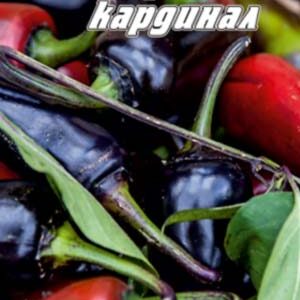 Перець Чорний кардинал пакет 30 насінин