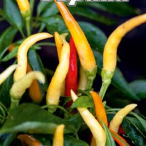 Перець Еврика декоративний пакет 30 насінин