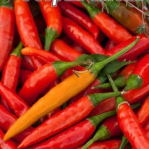 Перець гіркий суміш пакет 30 насінин