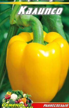 Перець Каліпсо пакет 80 насінин