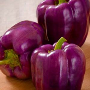 Перець Лайлак Белл пакет 30 насінин