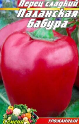 Перець Паланська бабура пакет 30 насінин