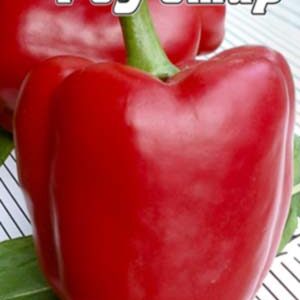 Перець Ред Стар пакет 30 насінин