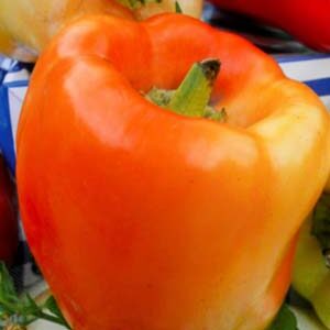 Перець Самоцвіт пакет 30 насінин