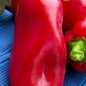 Перець Вінні Пух пакет 80 насінин