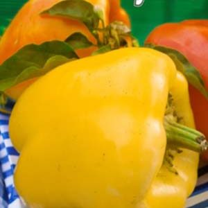 Перець Золоті куполи пакет 30 насінин