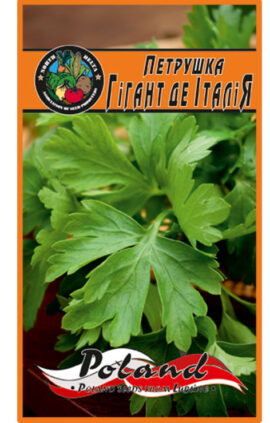 Петрушка Гігант де Італія пакет 20 грамів насінин