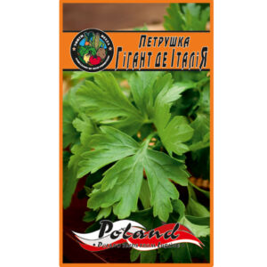 Петрушка Гігант де Італія пакет 20 грамів насінин