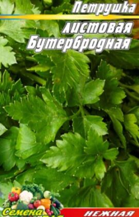 Петрушка листова Бутербродна пакет 1500 насінин.