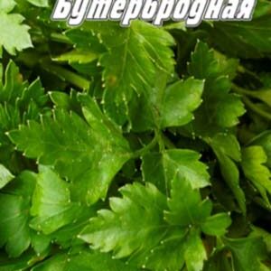 Петрушка листова Бутербродна пакет 1500 насінин.