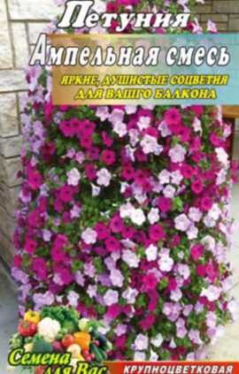 Петуния ампельная смесь пакет 1000 семян