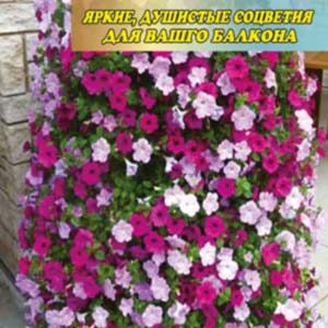 Петуния ампельная смесь пакет 1000 семян