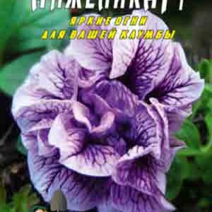 Петуния Анжелика пакет 0