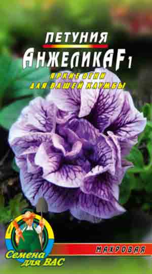 Петуния Анжелика пакет 0