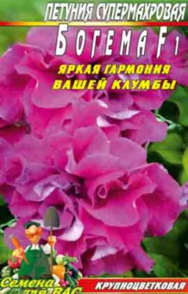 Петуния Богема пакет 0