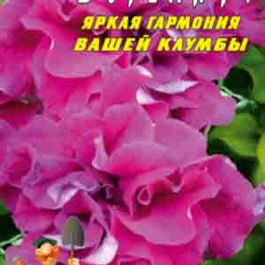 Петуния Богема пакет 0