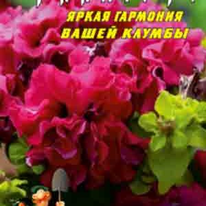 Петуния Гламур пакет 0