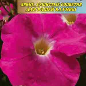 Петуния Розовый сад пакет 0