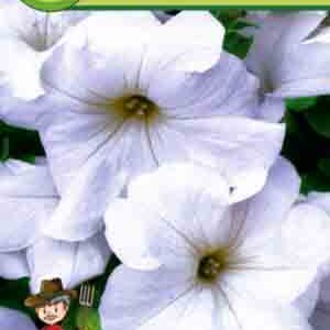 Петуния Снежный шар пакет 0