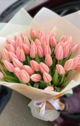 Тюльпан Тайс бутс 500 цибулин розмір 12+