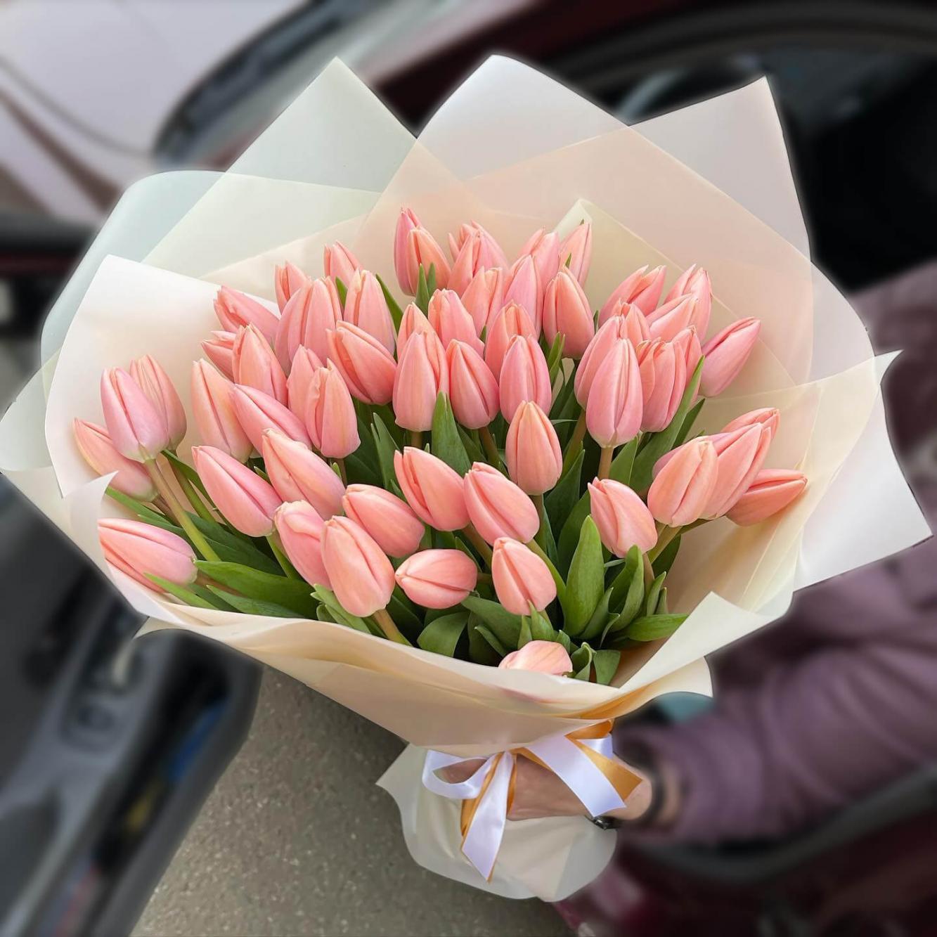 Тюльпан Тайс бутс 500 цибулин розмір 12+