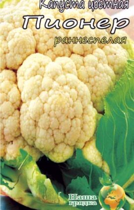 Капуста цвітна Піонер F1 пакет 50 насінин.