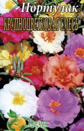 Портулак Крупноквіткова суміш 0