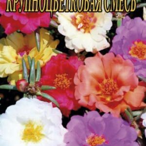 Портулак Крупноквіткова суміш 0