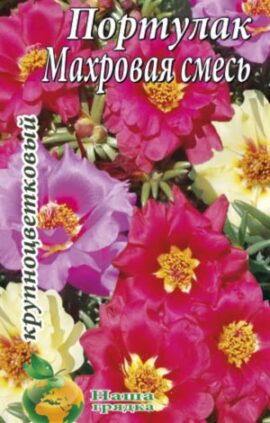 Портулак Махрова суміш пакет 500 насінин