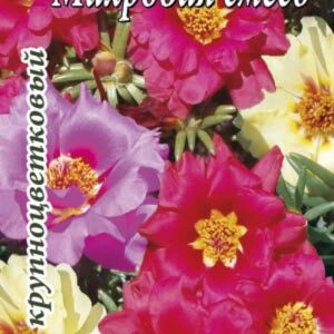 Портулак Махрова суміш пакет 500 насінин