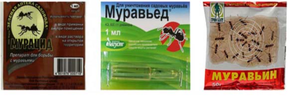 Якісні засоби від мурах на городі