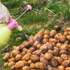 Протруйники